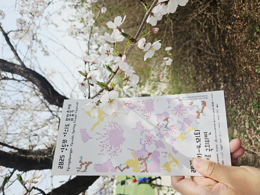 2025 서울 영등포 벗꽃 축제_1.jpg