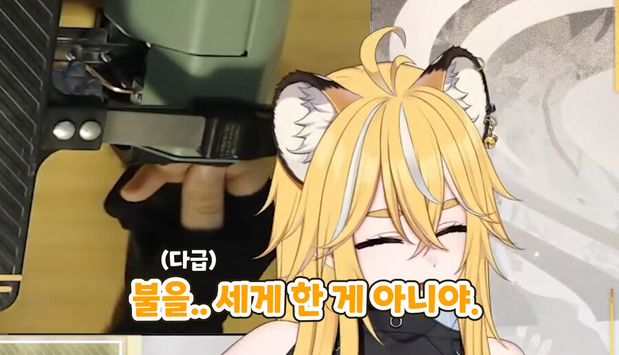 버미육)탄거아니야 마이야르야_37.jpg