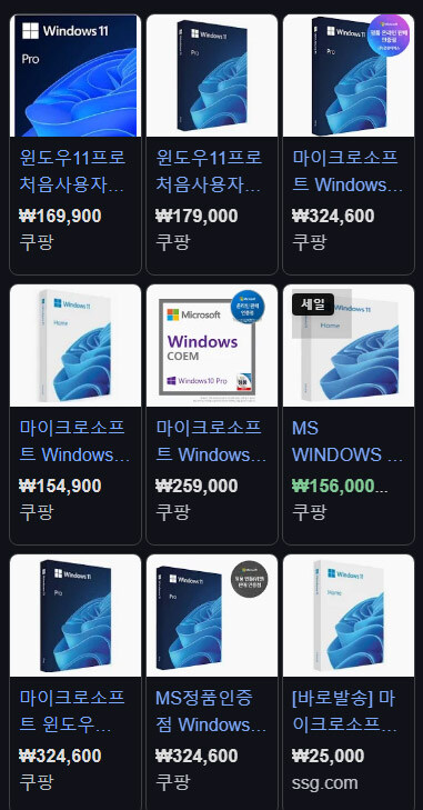 윈도우 11 버전 가격이 10만원대에서 30만원대까지 있는데 차이점이 머죠??_1.jpg