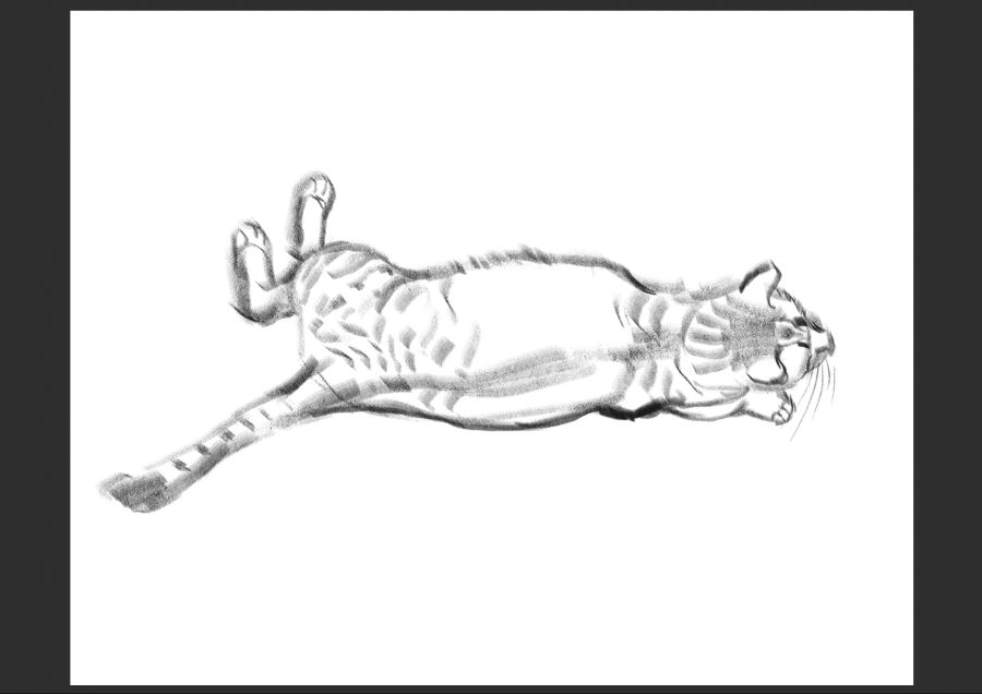 우리집 고양이 보고가셈_5.jpg