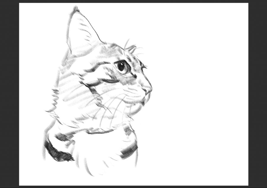 우리집 고양이 보고가셈_16.jpg