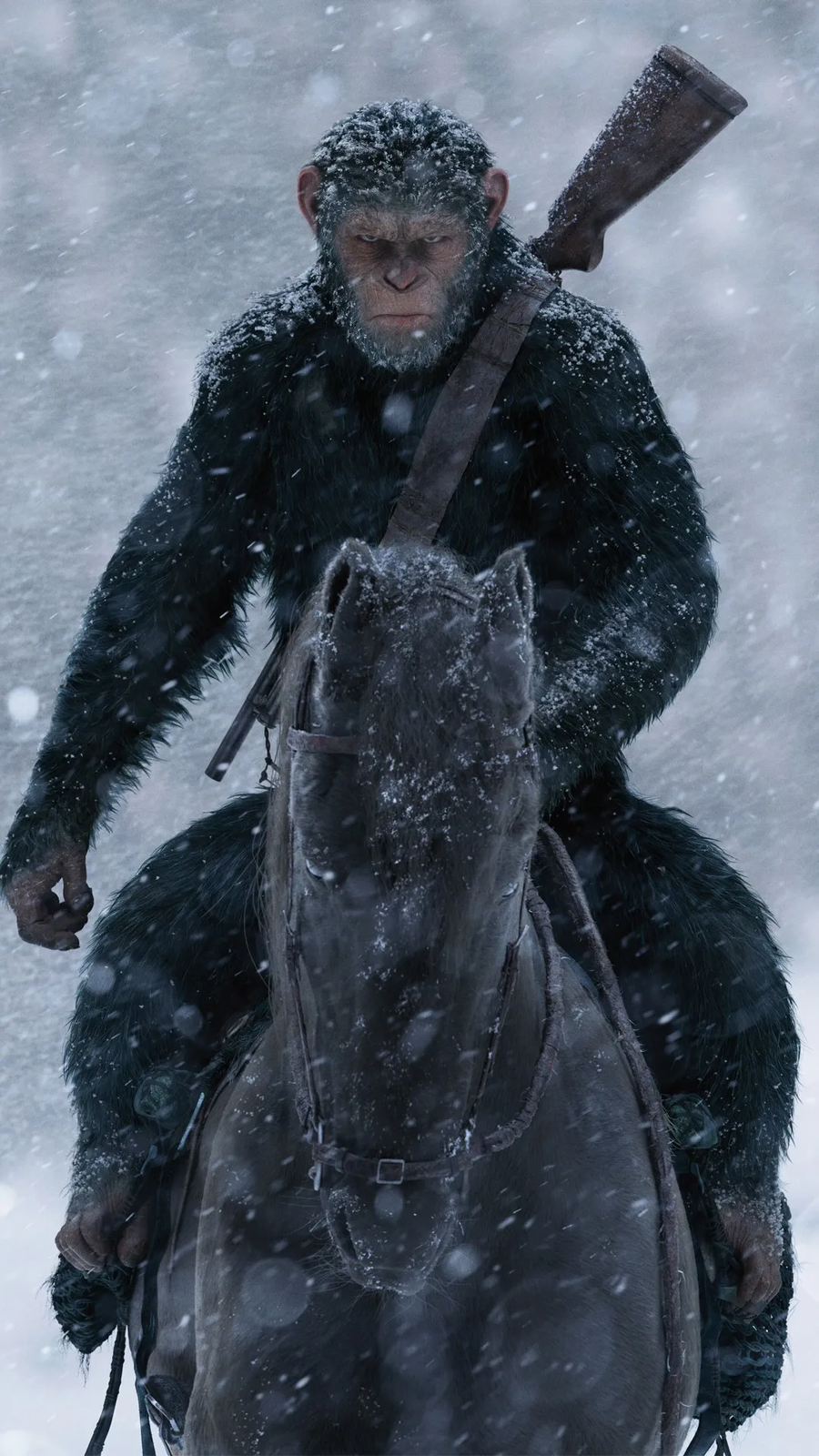 원숭이 아저씨의 대모험_112.webp