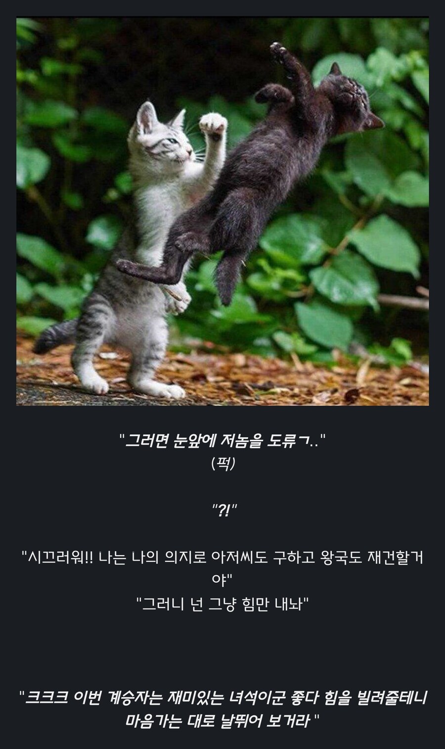 원숭이 아저씨의 대모험_34.jpg