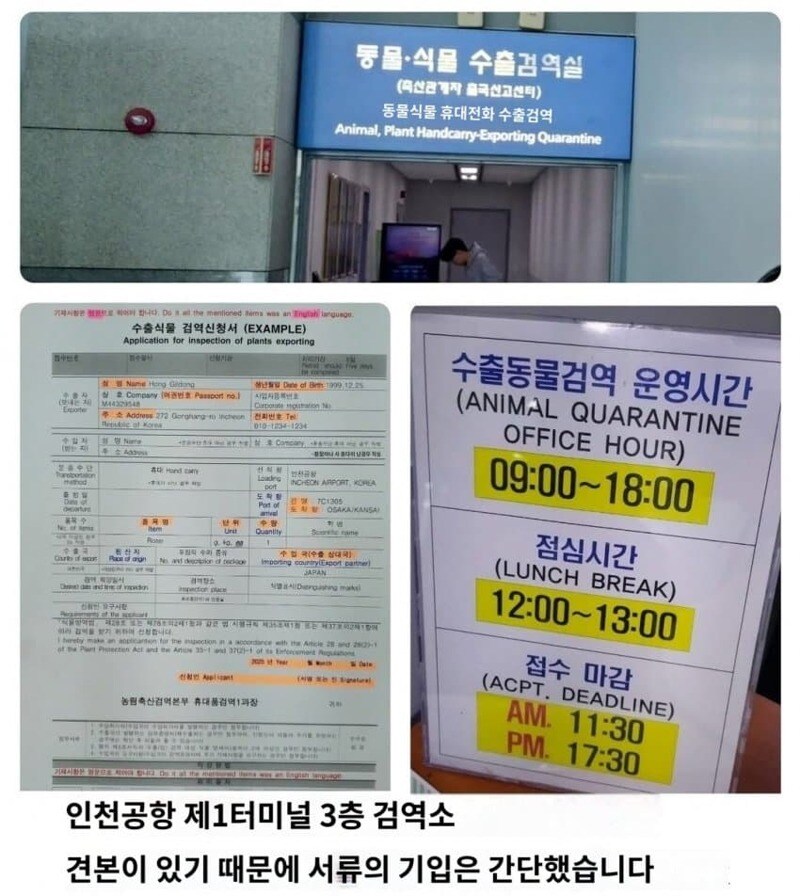 일본 쌀먹충 근황.jpg_3.jpg
