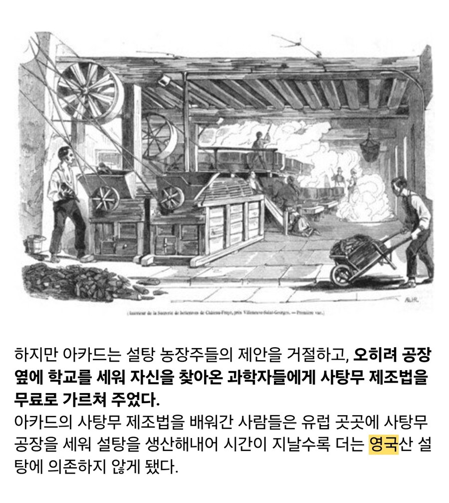 인류에게 설탕을 마음껏 먹을 수 있게 해준 과학자 이야기_11.jpg