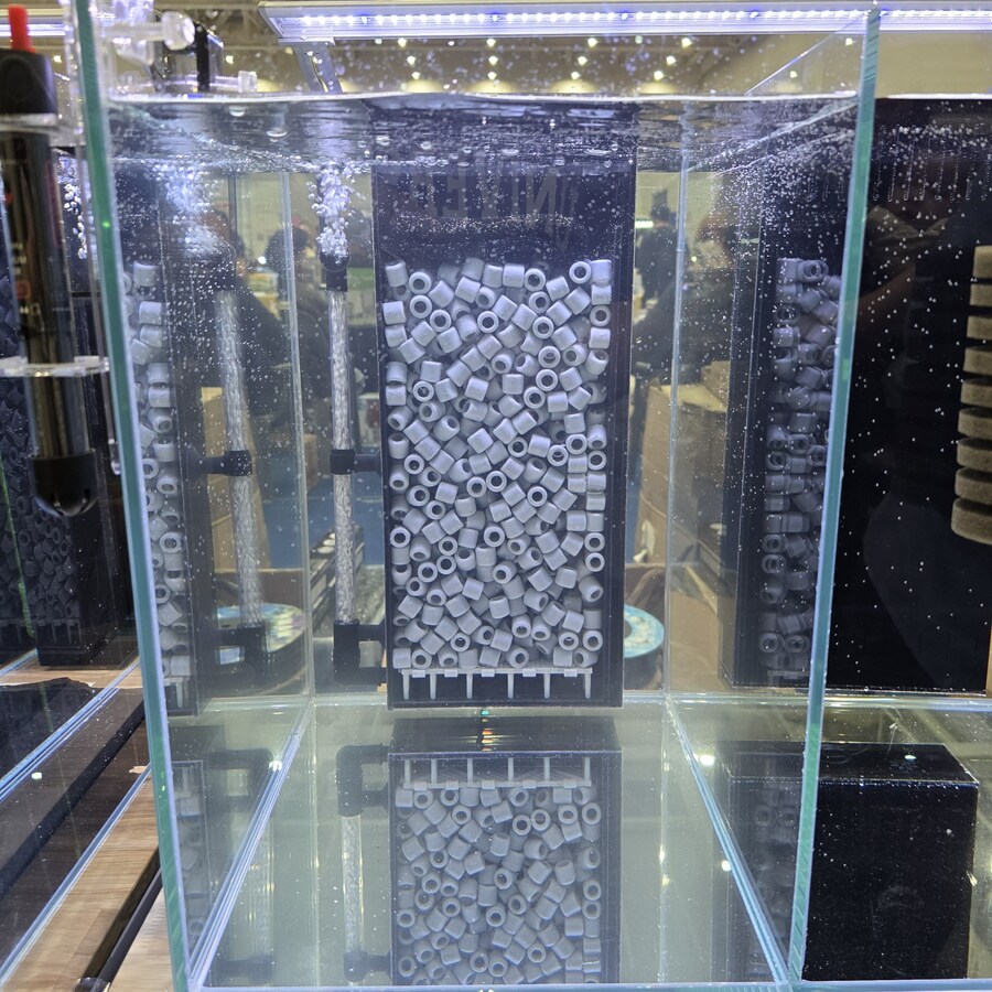 오늘 수원에서 하는 이색애완동물 박람회 다녀왔습니다._61.jpg