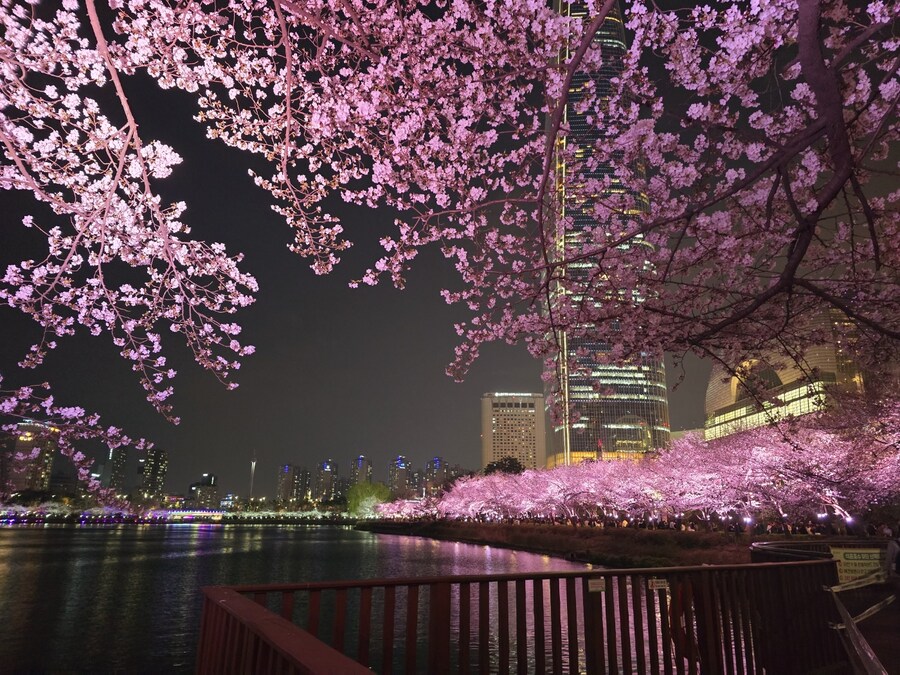 주말에 대충 꿔먹는 삼겹살;ㅎ_5.jpg