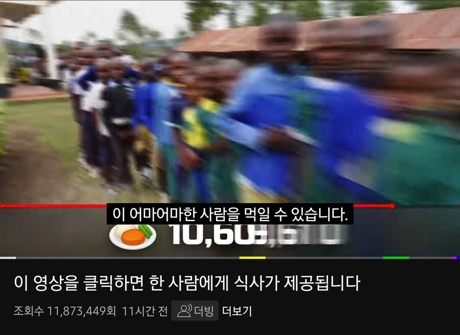미스터 비스트 근황_4.jpg