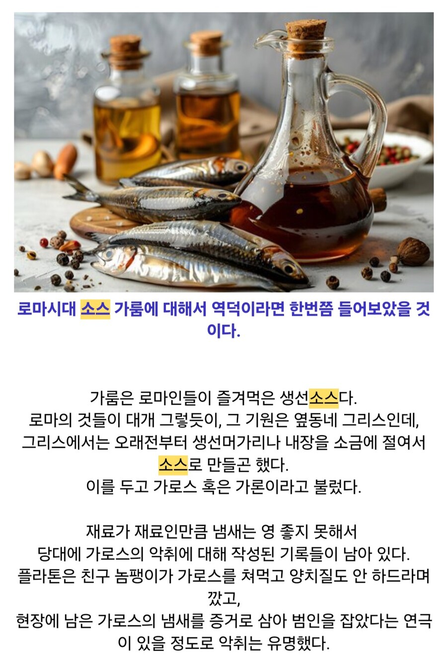 사라진 전설의 소스 리쿠아멘(Liquamen)_1.jpg
