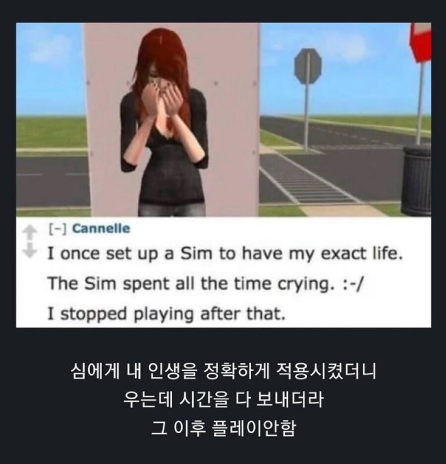 심즈 접은 이유.jpg_1.jpg