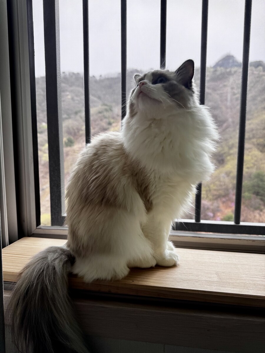 록희의 생일, 산책, 건강검진_21.jpg