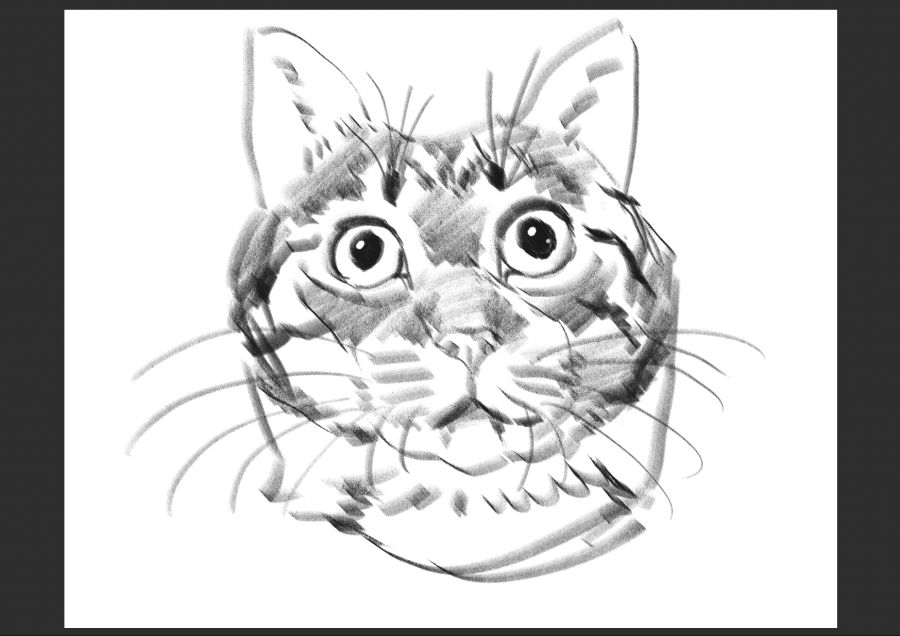 우리집 고양이 보고가셈_1.jpg