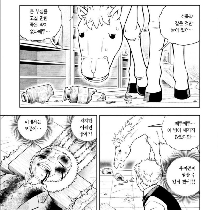 갓슈벨)메루메루메~로 증명하라는건 우릴 물 먹이려는 심보에요!_4.jpg