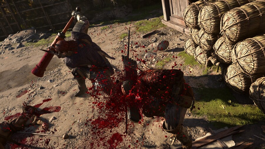 Assassin's Creed® Shadows_18.jpg