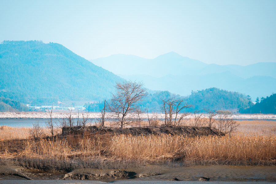 전남 여행 1 - 강진 남미륵사_4.jpg