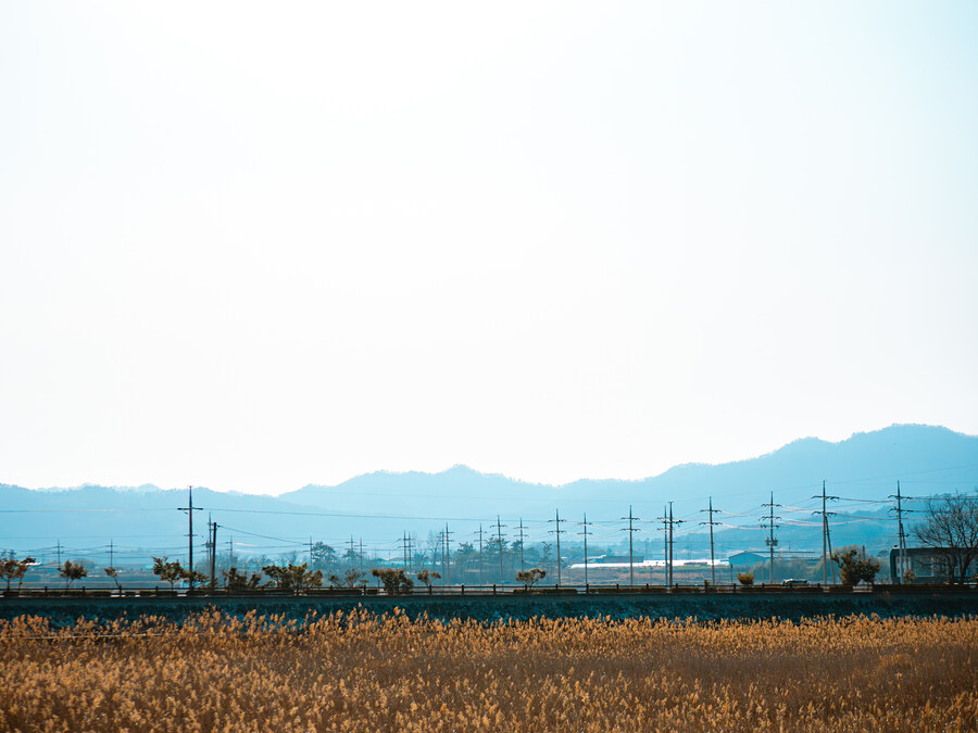 전남 여행 1 - 강진 남미륵사_28.jpg