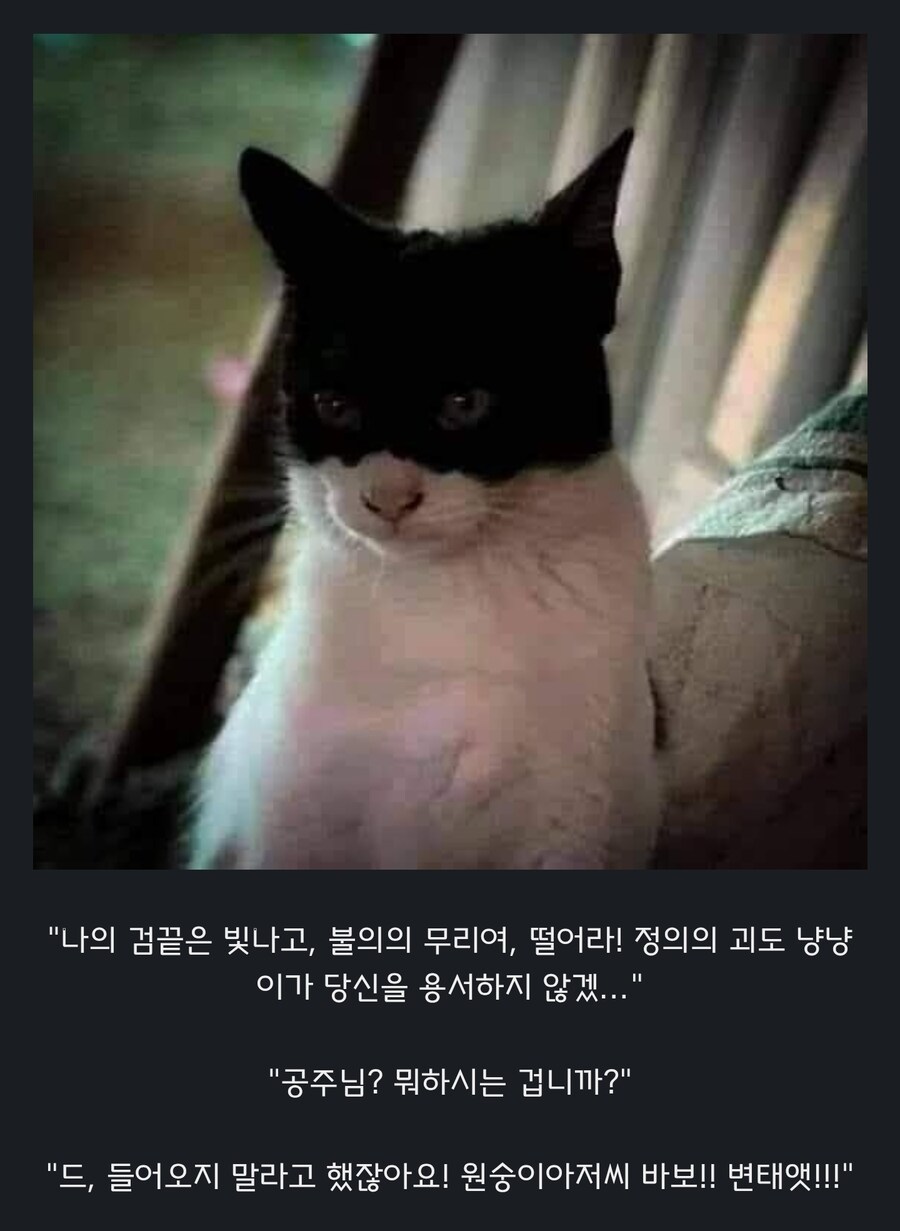 원숭이 아저씨의 대모험_55.jpg