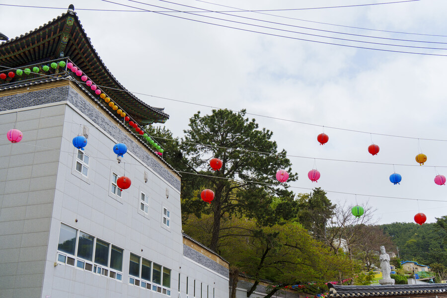 사진) 근처 절 구경하며 찍은 사진_2.jpg