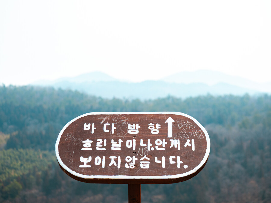 전남 여행 2 - 초봄에 대한다원 보성녹차밭_11.jpg