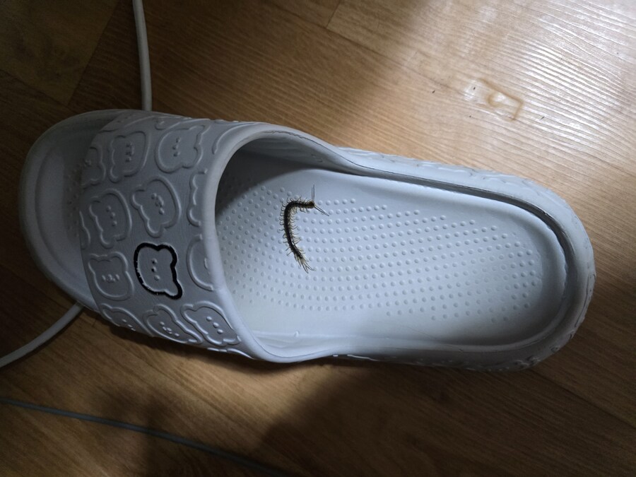 혐) 으아아아..._1.jpg