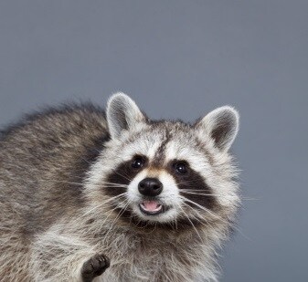 기후위기 관련해서 과학자들이 암 걸리는 이유_4.jpg