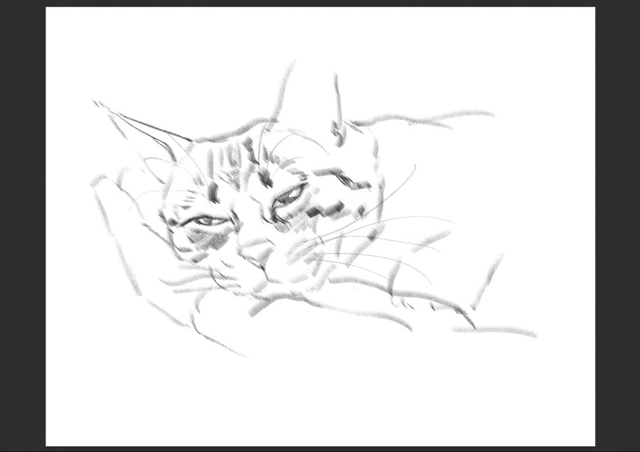 우리집 고등어고양이 보고가셈_3.jpg