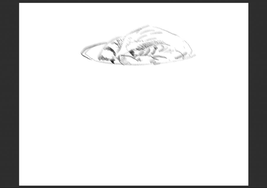 우리집 고등어고양이 보고가셈_6.jpg