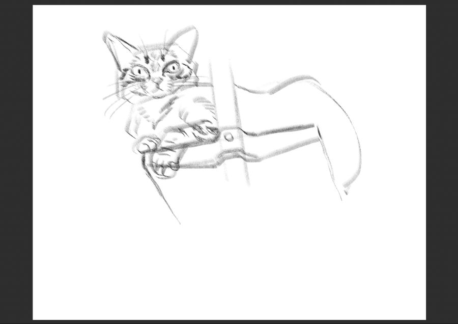 우리집 고등어고양이 보고가셈_9.jpg