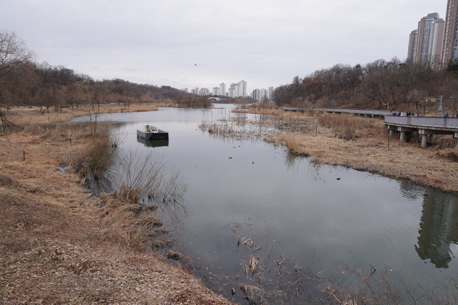 3월달, 선정릉과 탄천 탐조_47.jpg