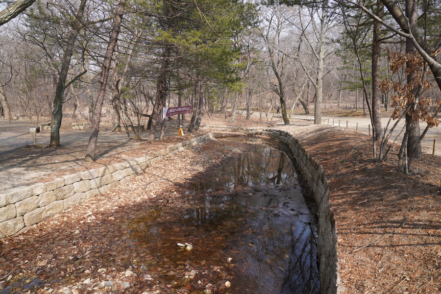 3월, 동구릉 탐조_7.jpg