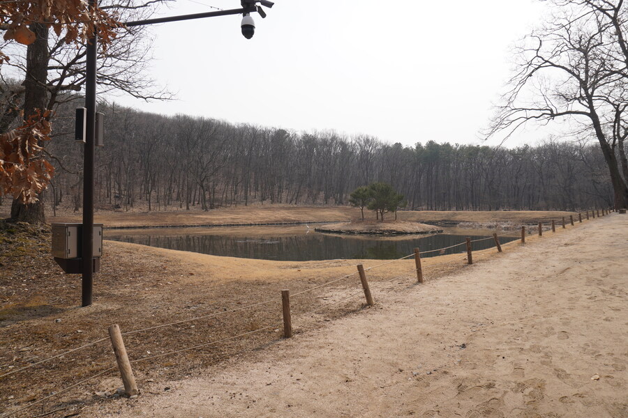 3월, 동구릉 탐조_28.jpg