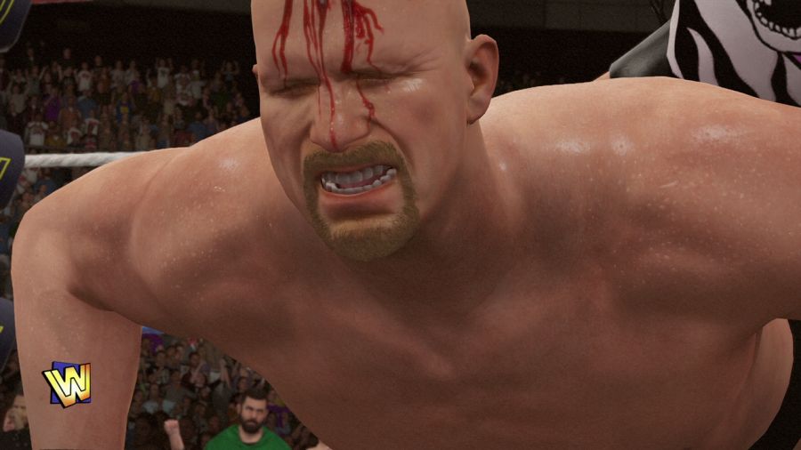 WWE 2K16_24.jpg
