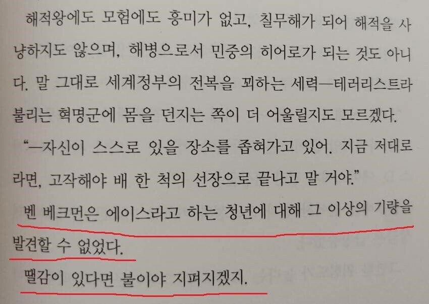 원피스 벤 베크만이 본 에이스_2.jpg