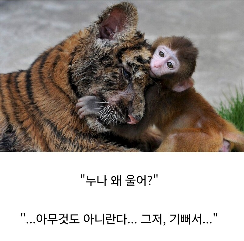 원숭이 아저씨의 대모험_63.jpg