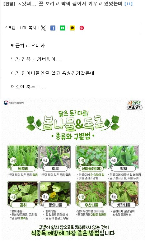 1년 농사 지은거 다 도둑 맞은 시골 청년 jpg_1.png
