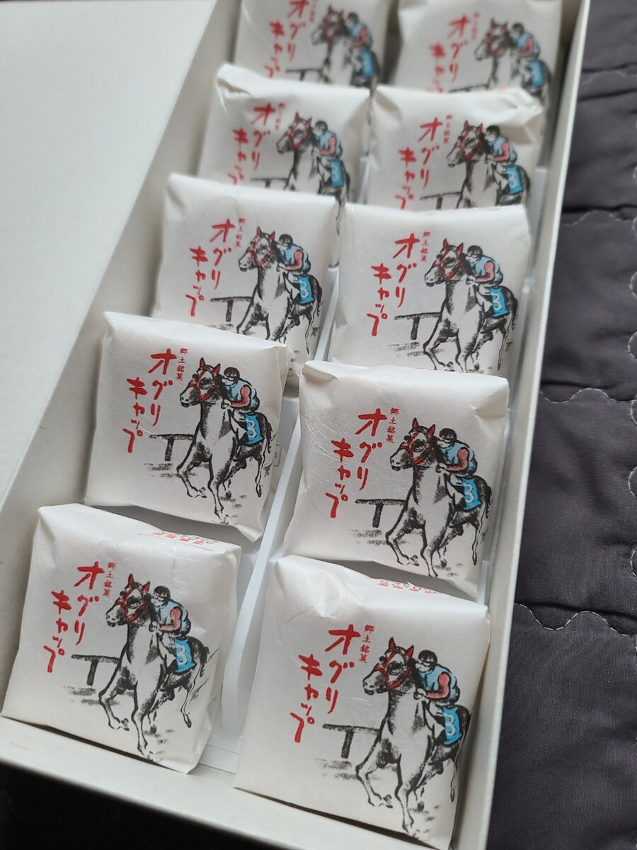 오구리 캡의 데뷔지, 카사마츠 경마장 방문기_24.png