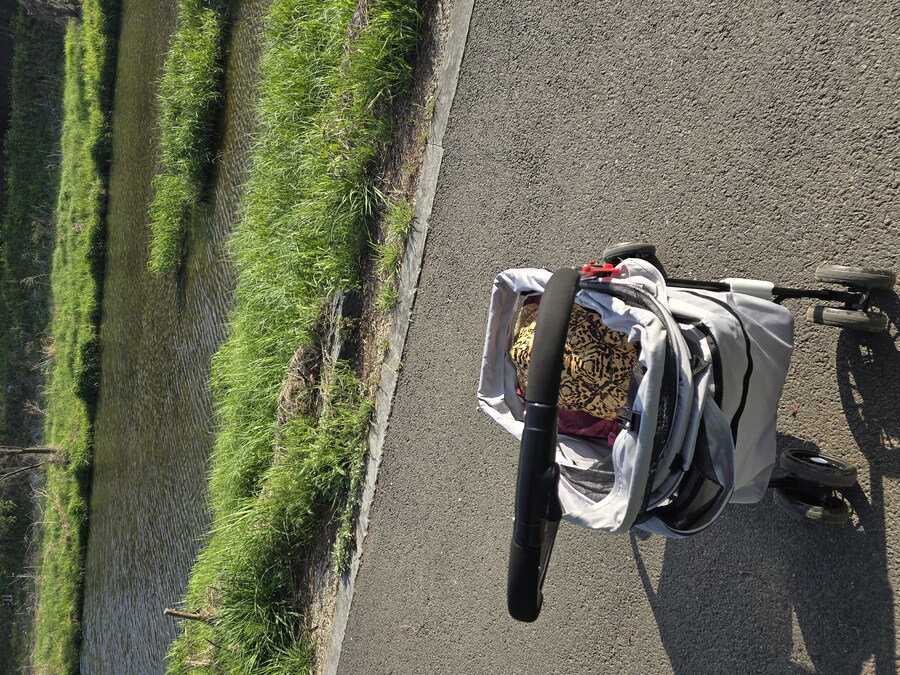 거북이에게 딱 맞는 유모차 구했어요_5.jpg