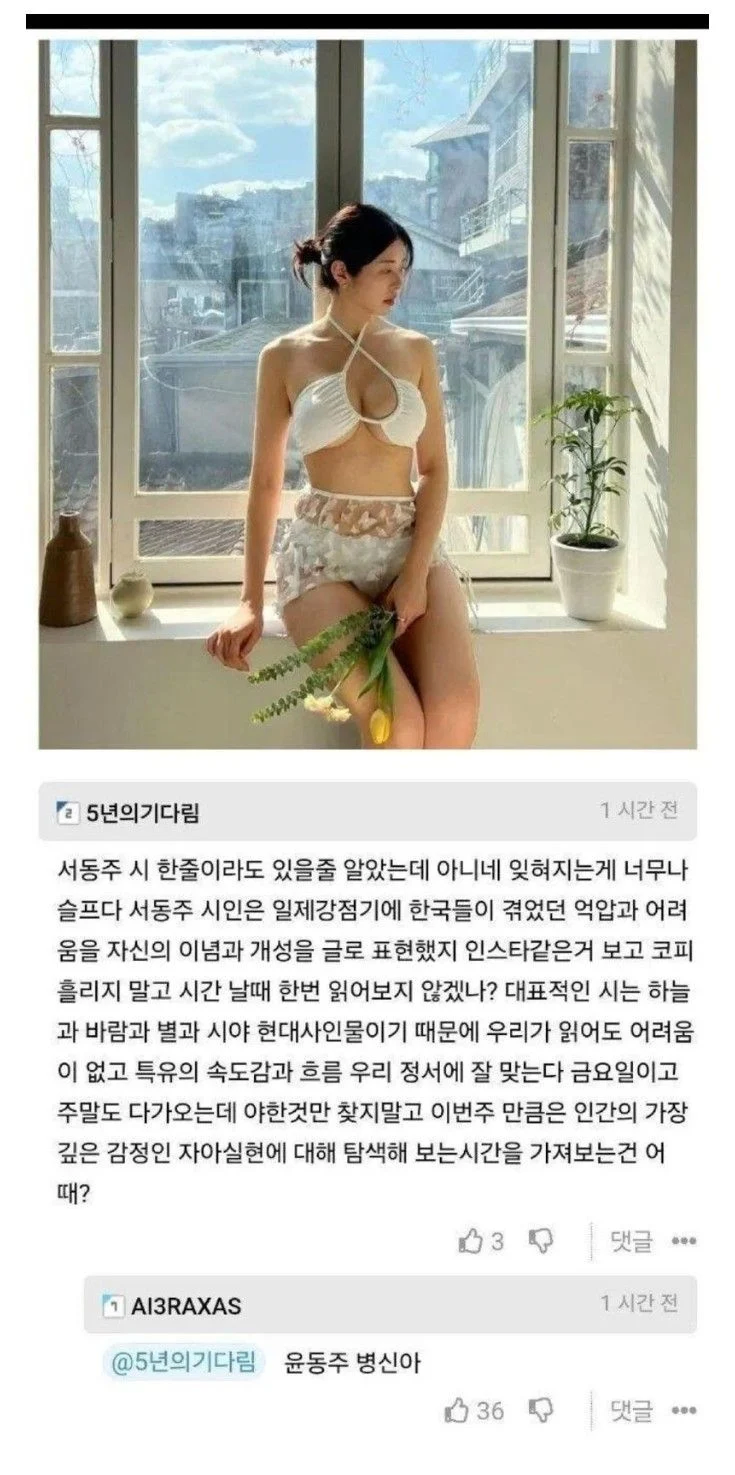 서동주 비키니 사진에 달린 댓글_1.webp