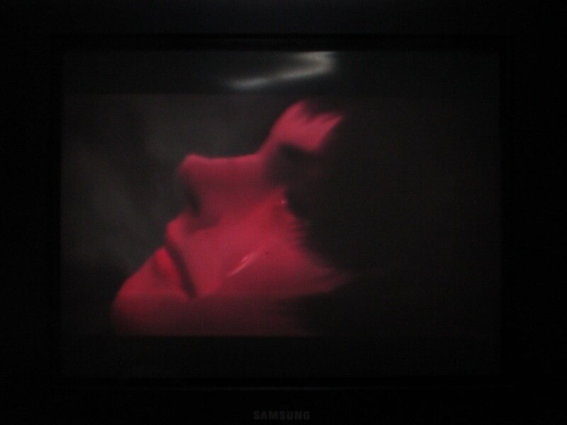 데빌 메이 크라이 3 엔딩_39.jpg