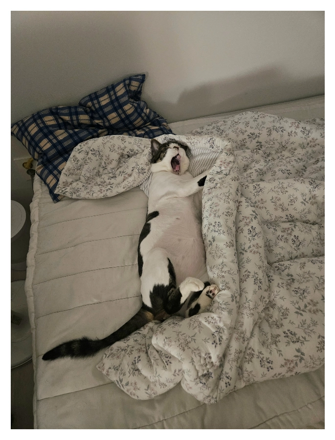 자다깨서 멍때리다 뒹굴뒹굴_2.webp