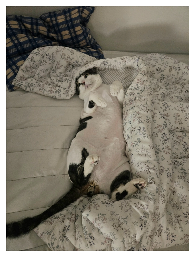 자다깨서 멍때리다 뒹굴뒹굴_4.webp