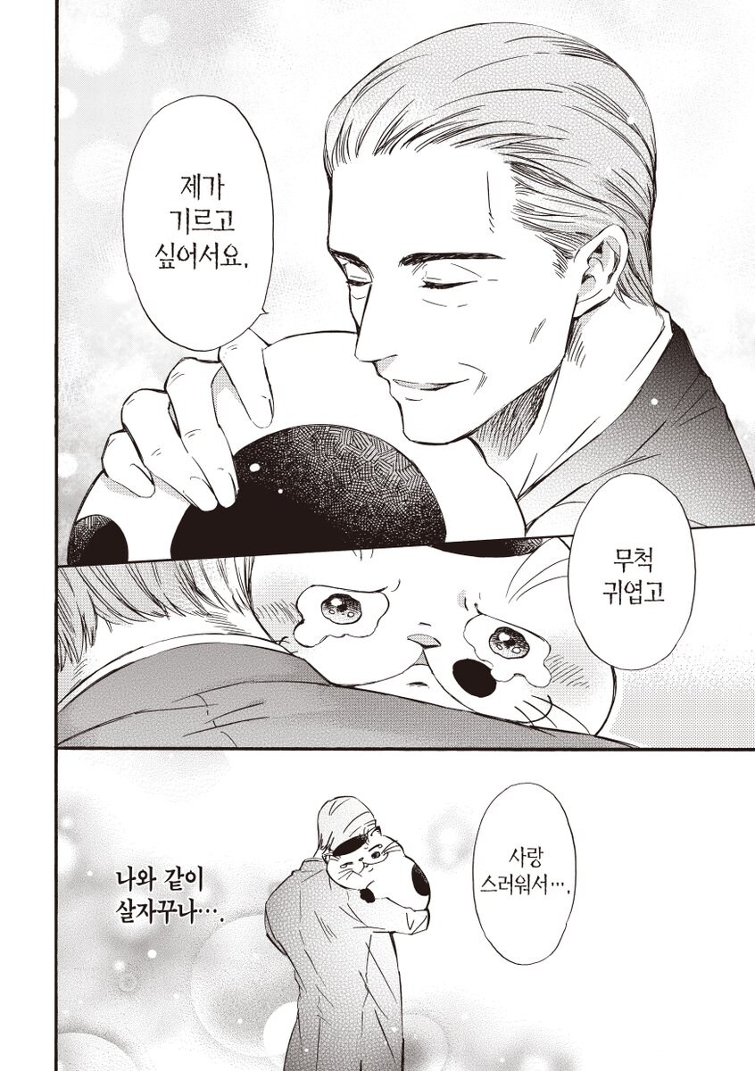 못생긴 고양이가 팔리는 만화_4.jpg