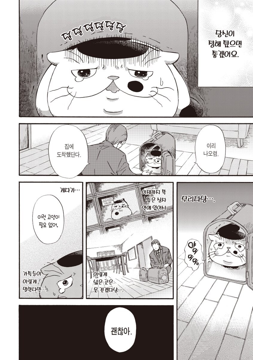 못생긴 고양이가 팔리는 만화_6.jpg