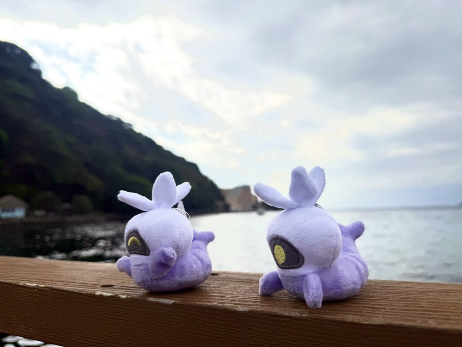 치비치비 페라피 판매예정_3.jpg