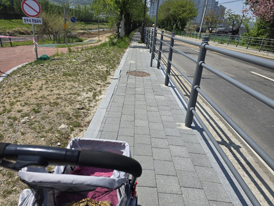 거북이 전용 유모차_1.jpg