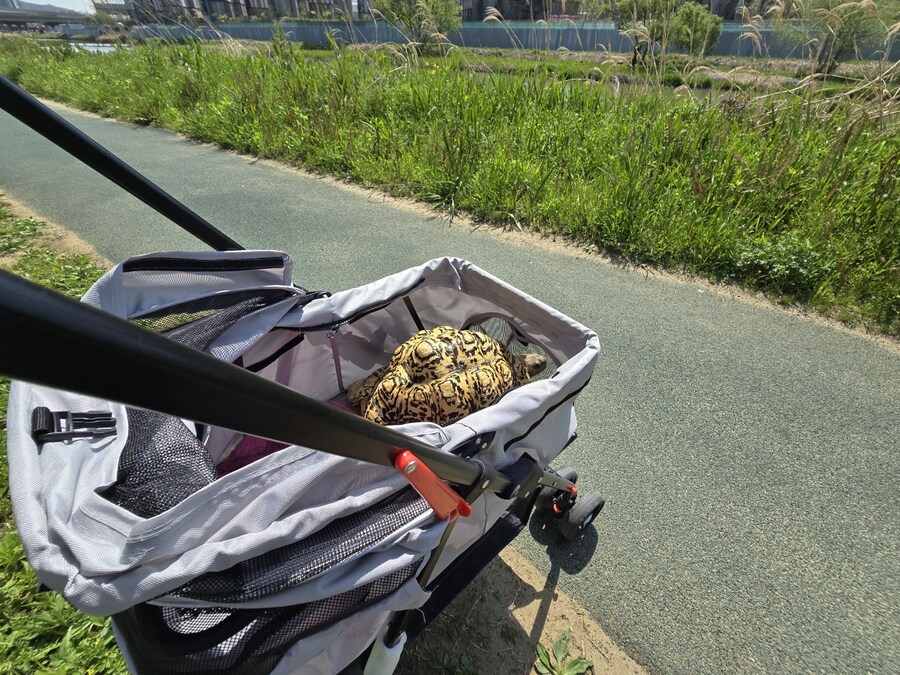 거북이 전용 유모차_5.jpg