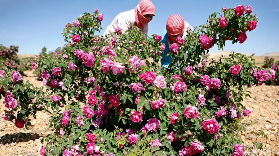 스크린샷 2025-04-26 221818.png