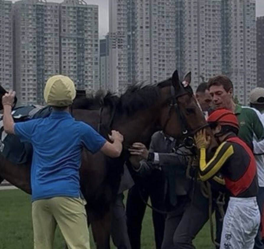 말딸,경마) 안돼 ㅅㅂ 트리플 티아라 리버티가!_2.jpg