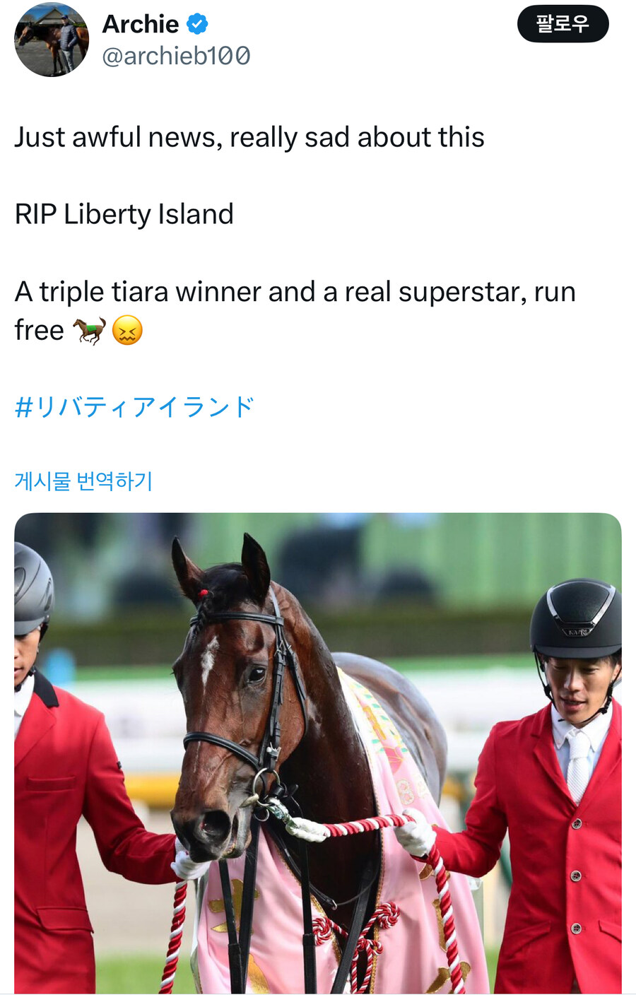 말딸,경마) 리버티 죽었나벼_1.jpg