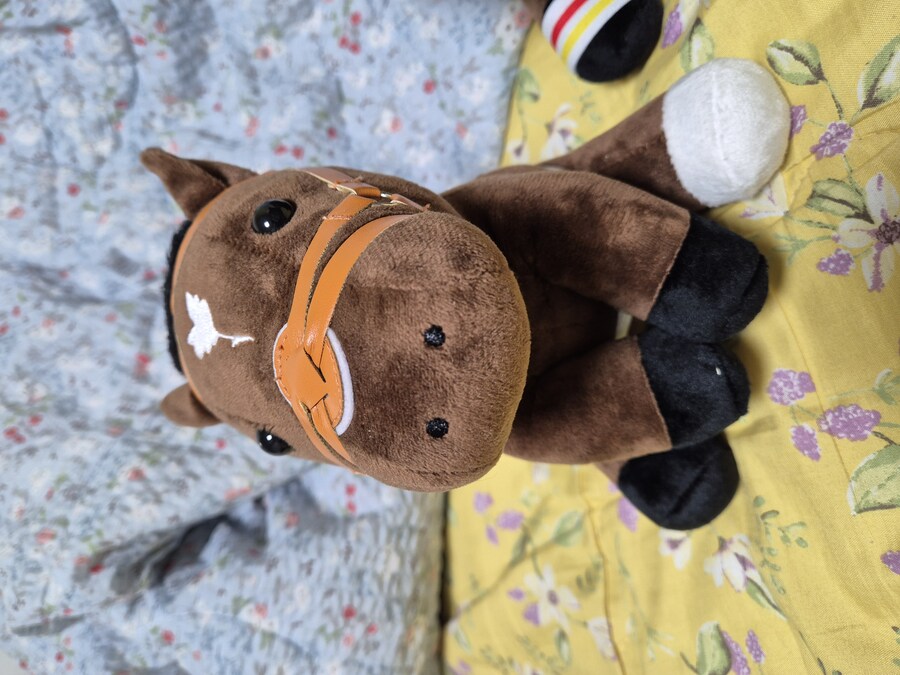 말딸 혈통, 경마) 리버티 아일랜드의 사망과 함께 아이러니한 게..._2.jpg